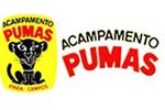 acampamento-pumas--logo-suporte-informatica-studio-artte150-100